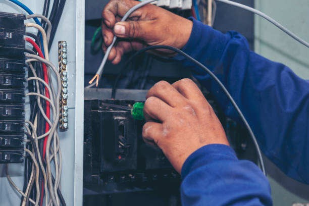 Best Licensed Electrician  in North Sarasota, FL